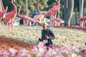 BIB: 
                            <button type="button" onclick="openModal(27344113)" class="btn btn-primary btn-sm float-right btn-popup" data-toggle="modal" data-target=".modal-high-quality">
                        <i class="fas fa-shopping-cart"></i> Add to Cart
                    </button>
                                            <button type="button" onclick="isThisMe(27344113, true)" class="btn btn-success btn-sm float-right btn-popup btn-isme hidden" data-toggle="tooltip" data-placement="bottom" title="นี่คือรูปของคุณใช่ไหม คลิกที่นี่เพื่อเอาเข้าอัลบั้ม">
                        <i class="fas fa-plus"></i> Add to album
                    </button>
                    <button type="button" onclick="isThisMe(27344113, false)" class="btn btn-warning btn-sm float-right btn-popup btn-isnotme hidden">
                        <i class="fas fa-ban"></i> Remove from album
                    </button>